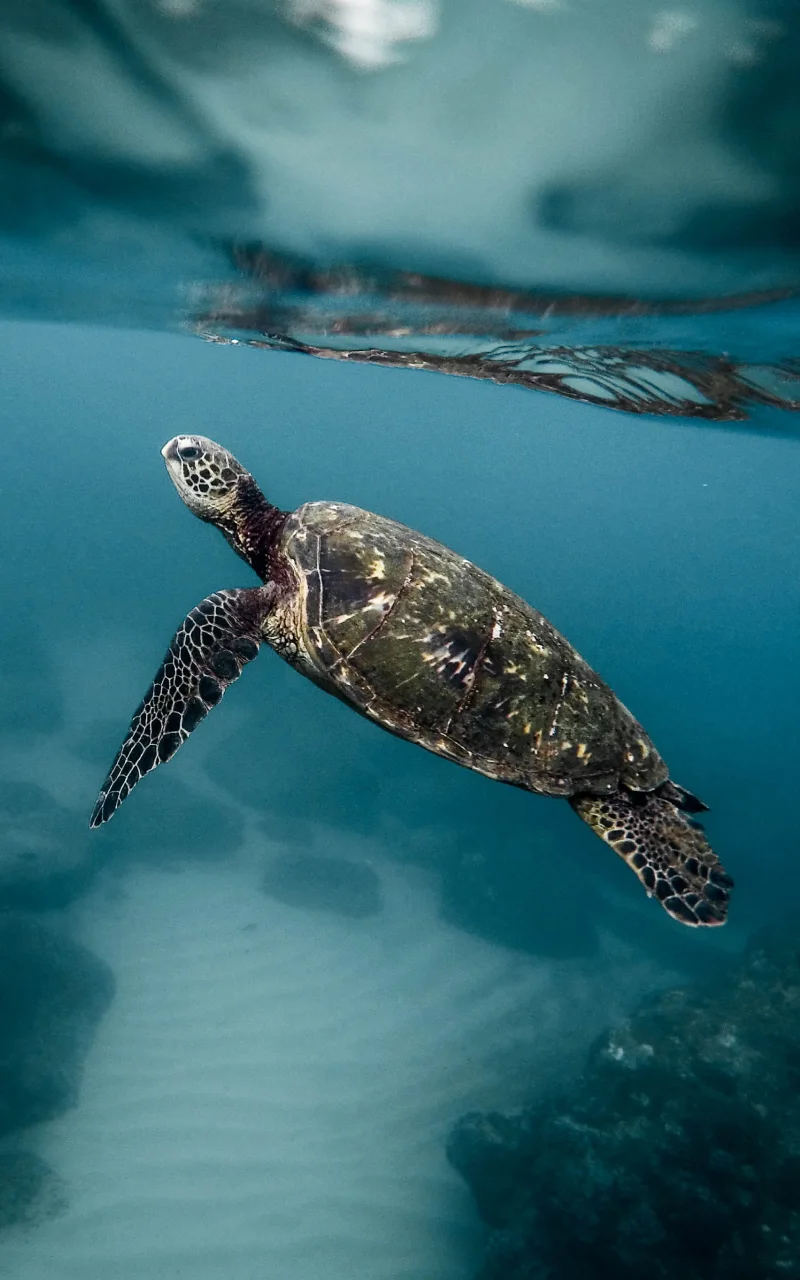 B2B marketing in 2026: what is actually changing and what isn’t